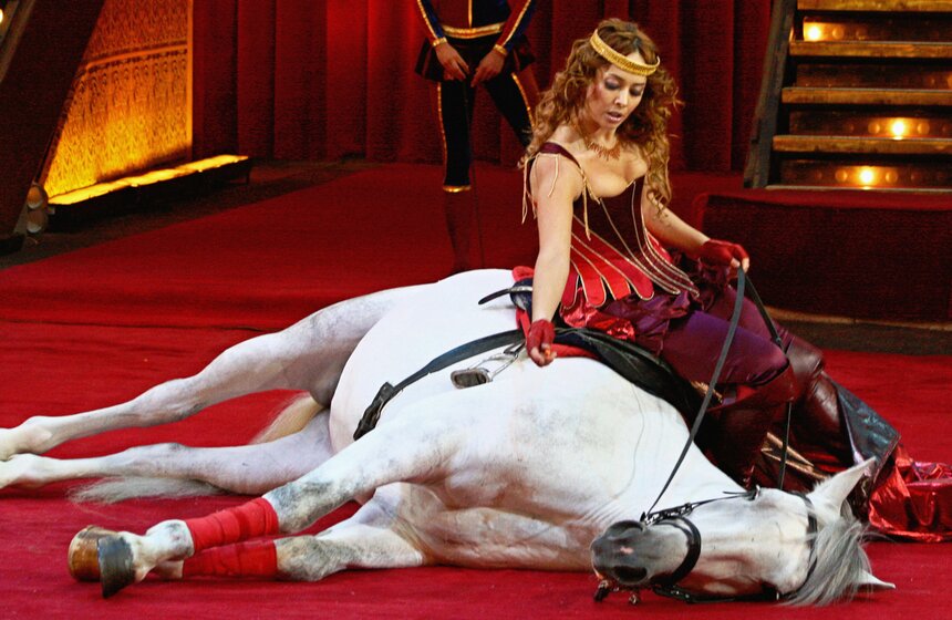 Фото: ТАСС/ Руслан Рощупкин