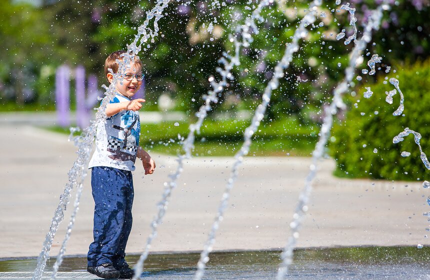"Цветущий парк": Сиреневый сад на Щелковском шоссе 5 фото