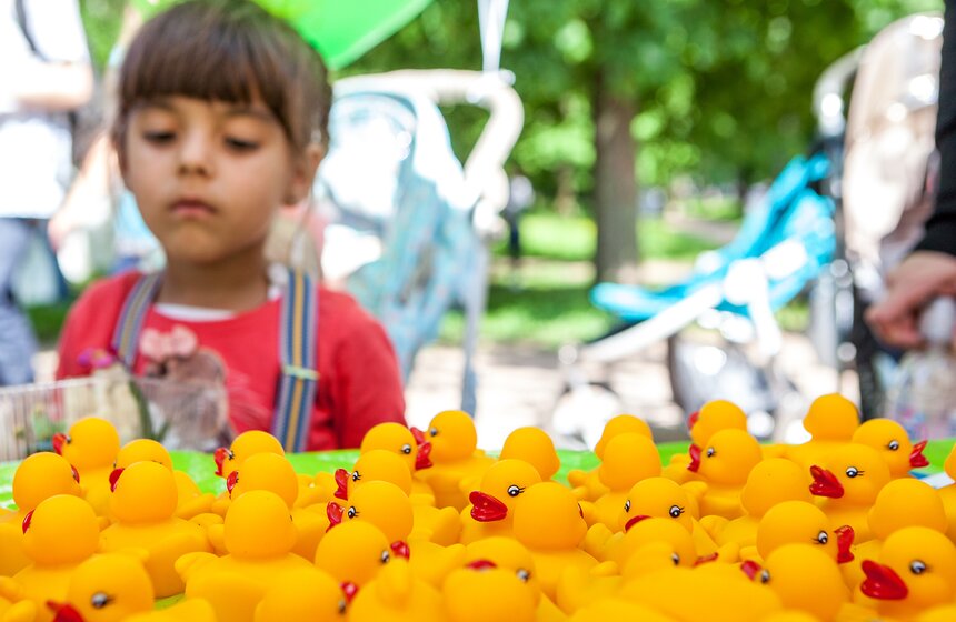 В пруд Воронцовского парка запустили 5 тысяч уток 2 фото
