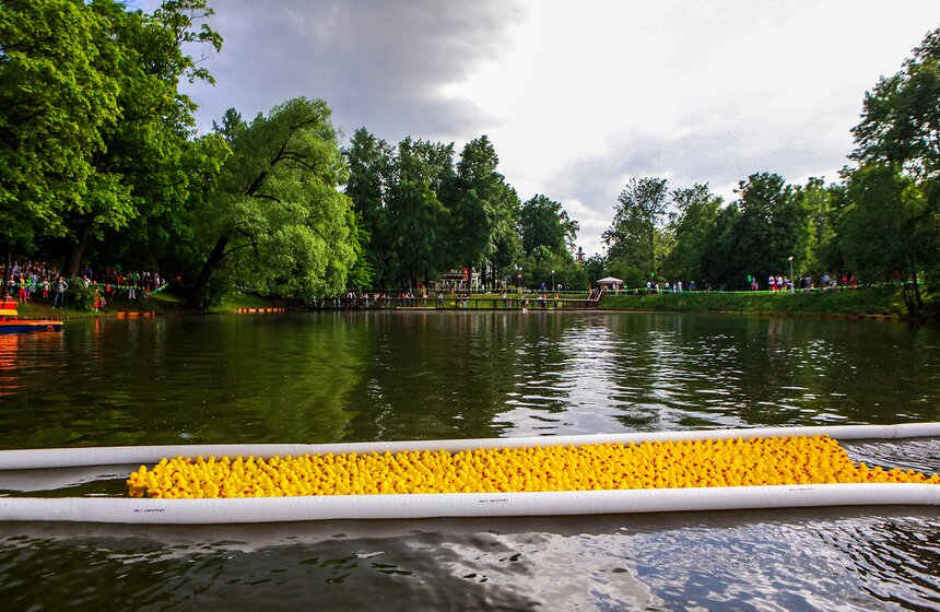 В пруд Воронцовского парка запустили 5 тысяч уток 9 фото