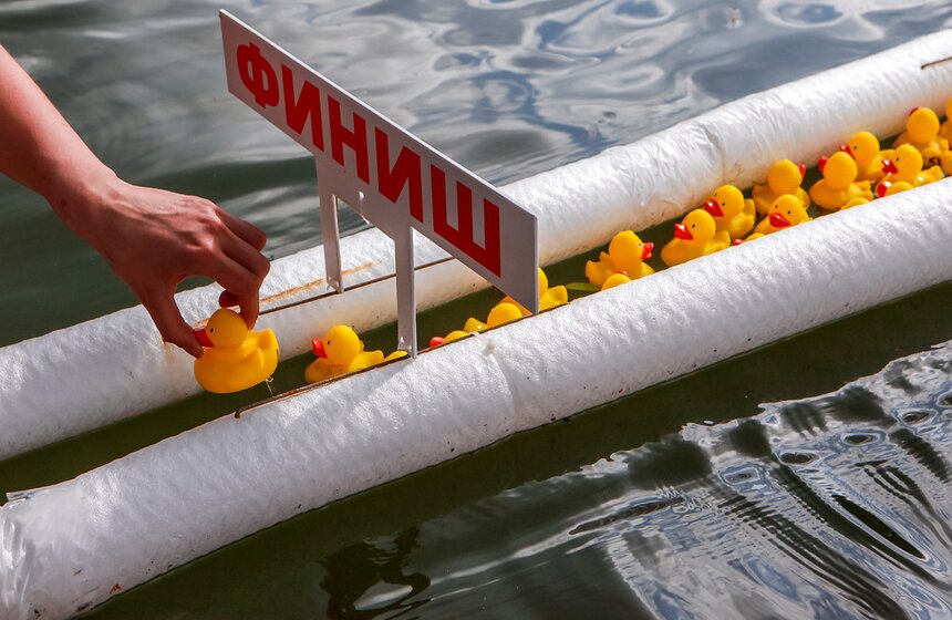 В пруд Воронцовского парка запустили 5 тысяч уток 11 фото