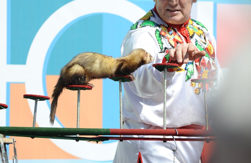 Цветы жизни: детский праздник на Цветном бульваре 1 фото