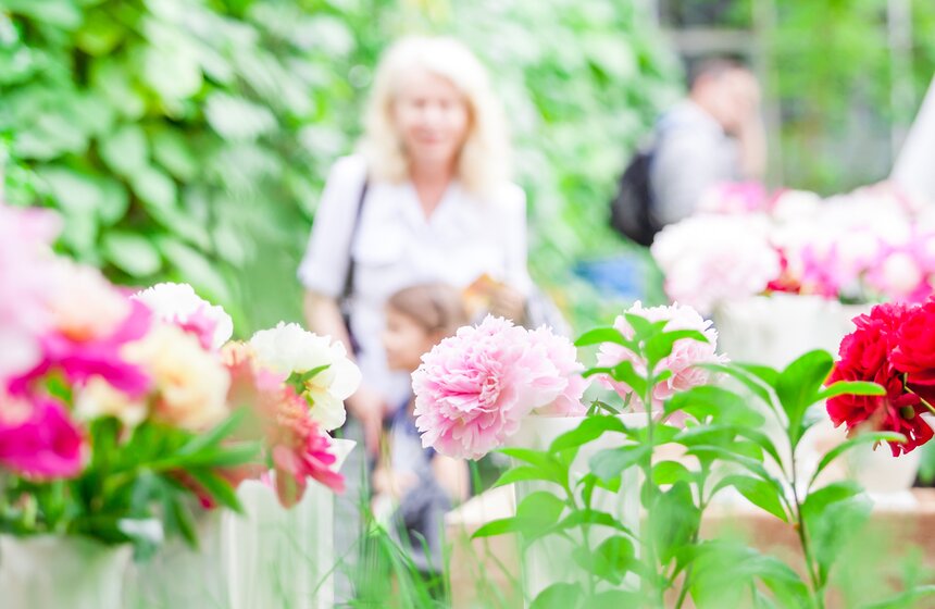 В "Аптекарском огороде" открылась выставка пионов от M24.ru 4 фото