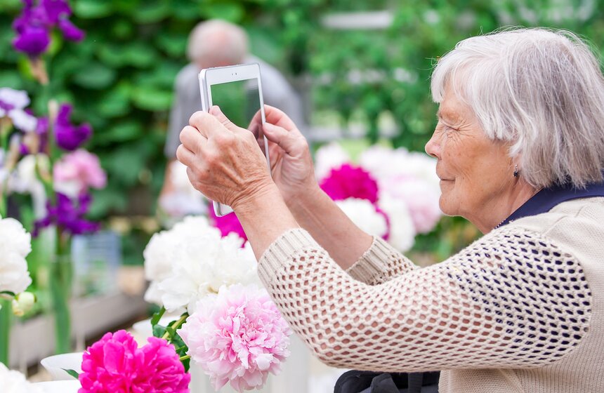 В "Аптекарском огороде" открылась выставка пионов от M24.ru 8 фото