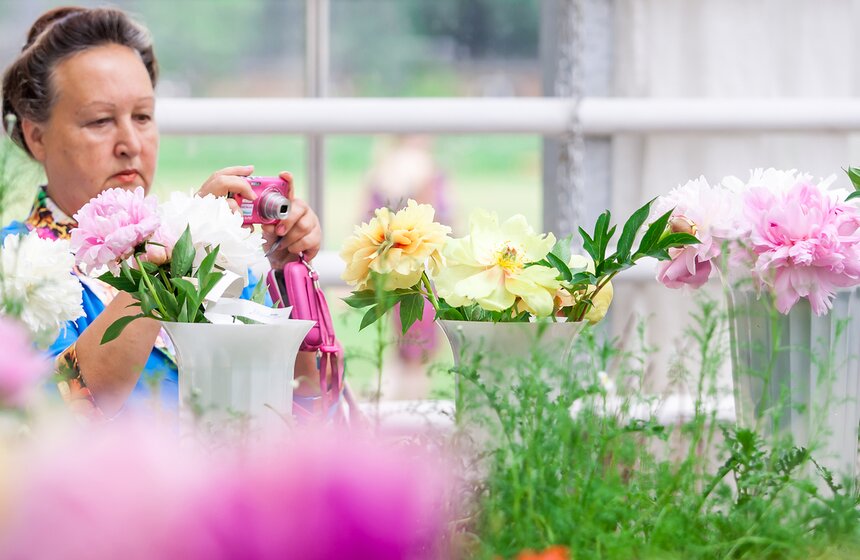 В "Аптекарском огороде" открылась выставка пионов от M24.ru 10 фото