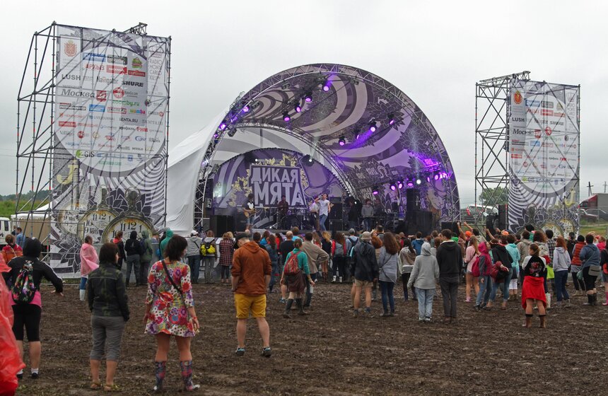 От "Аквариума" до "Мельницы": Музыкальный фестиваль "Дикая мята" 14 фото