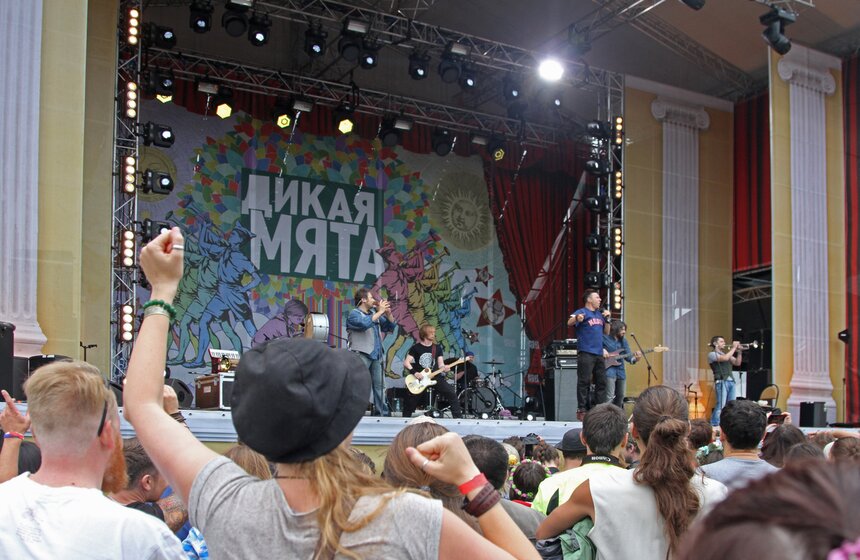От "Аквариума" до "Мельницы": Музыкальный фестиваль "Дикая мята" 8 фото
