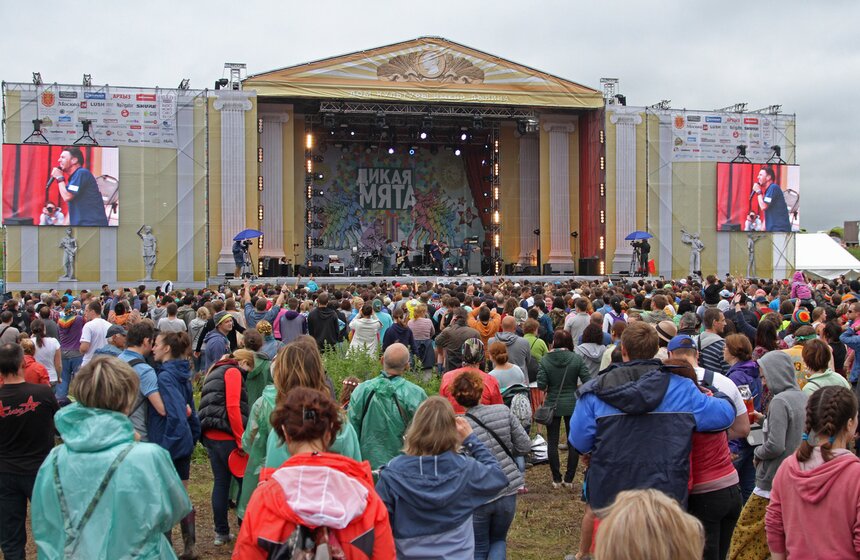 От "Аквариума" до "Мельницы": Музыкальный фестиваль "Дикая мята" 12 фото