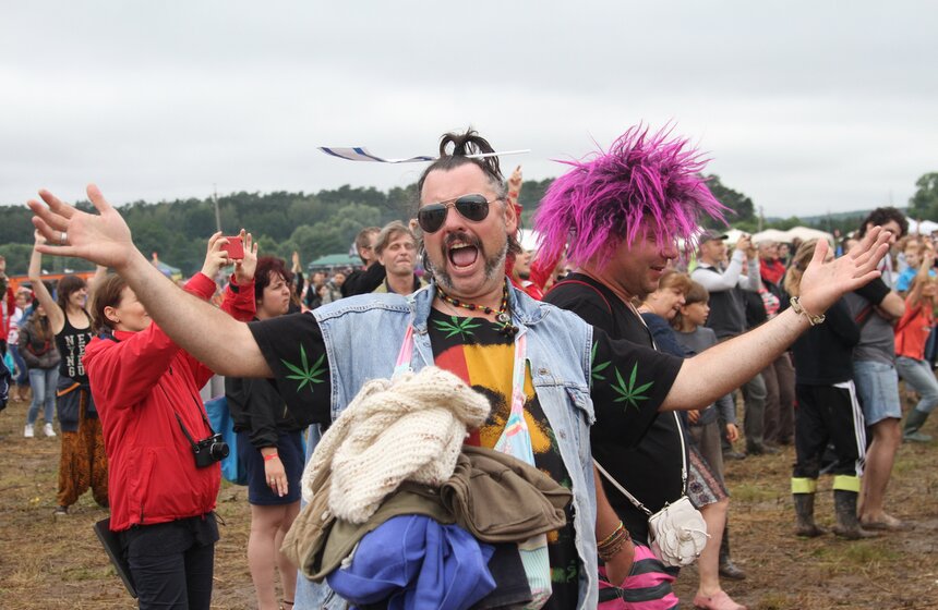 От "Аквариума" до "Мельницы": Музыкальный фестиваль "Дикая мята" 11 фото