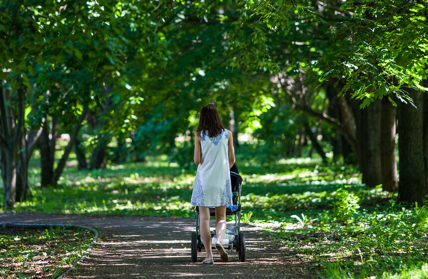 "Цветущий парк": Лето в "Северном Тушине" 6 фото
