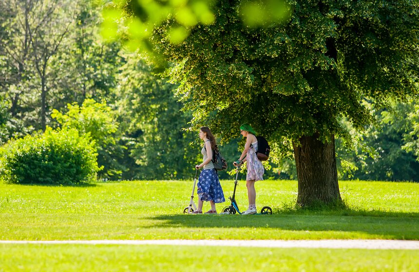 "Цветущий парк": лето в "Саду будущего" 20 фото