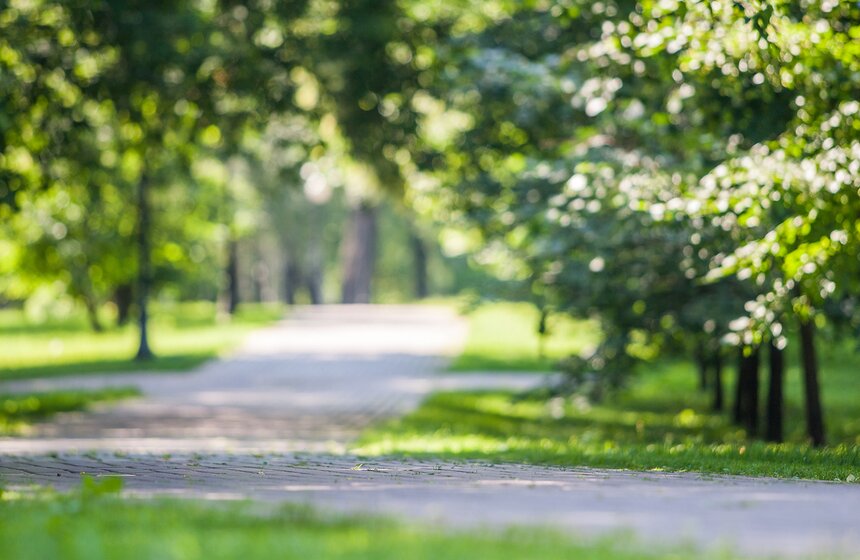 "Цветущий парк": лето в "Саду будущего" 13 фото