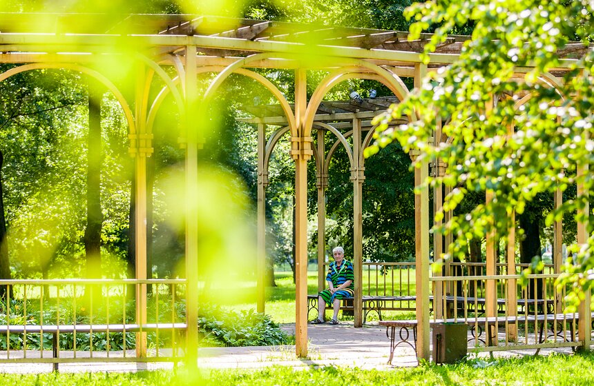 "Цветущий парк": лето в "Саду будущего" 21 фото