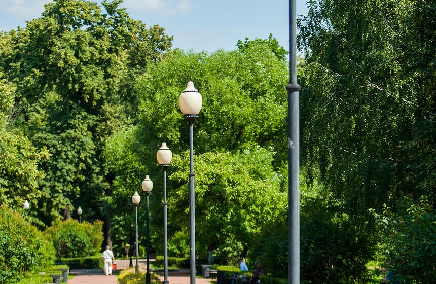 "Цветущий парк": лето в "Саду будущего" 5 фото