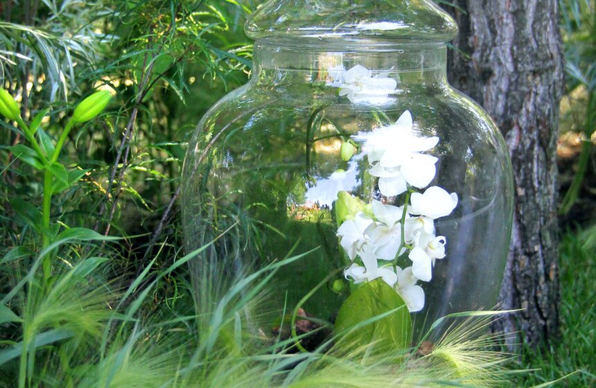 В МУЗЕОНе продолжается Международный фестиваль садов и цветов 14 фото