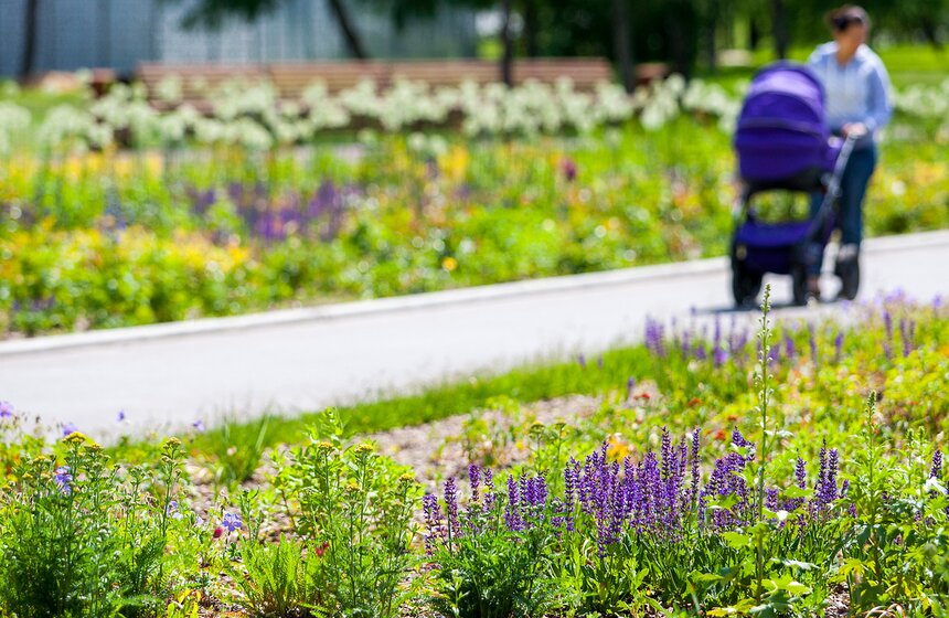 "Цветущий парк": Лето в "Садовниках" 18 фото