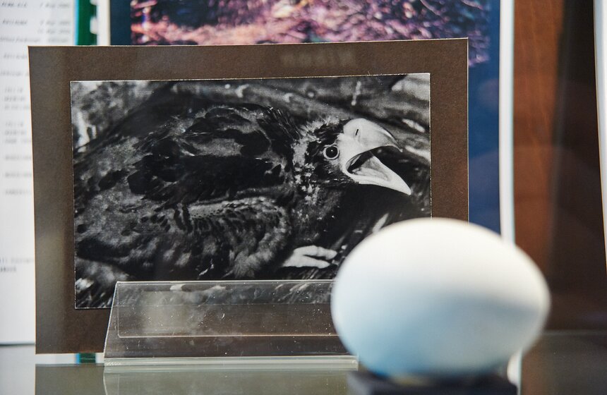 В Московском зоопарке открылся музей 14 фото