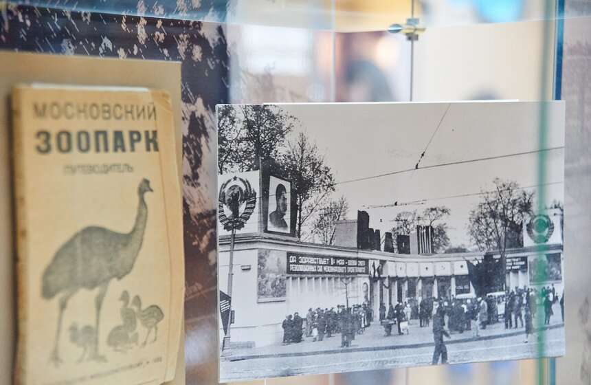 В Московском зоопарке открылся музей 17 фото