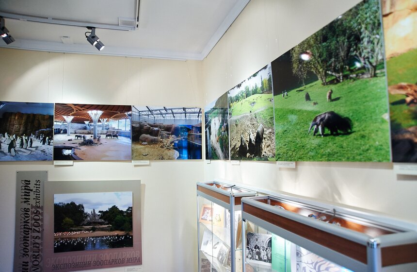 В Московском зоопарке открылся музей 23 фото