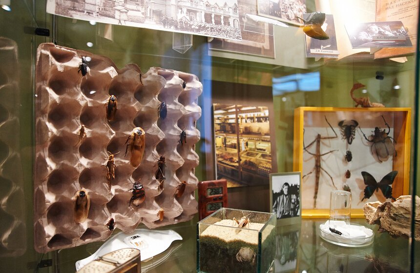 В Московском зоопарке открылся музей 26 фото