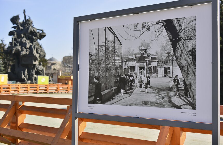 Пора вставать: питомцы Московского зоопарка вышли из спячки 17 фото