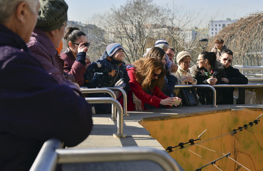 Пора вставать: питомцы Московского зоопарка вышли из спячки 3 фото
