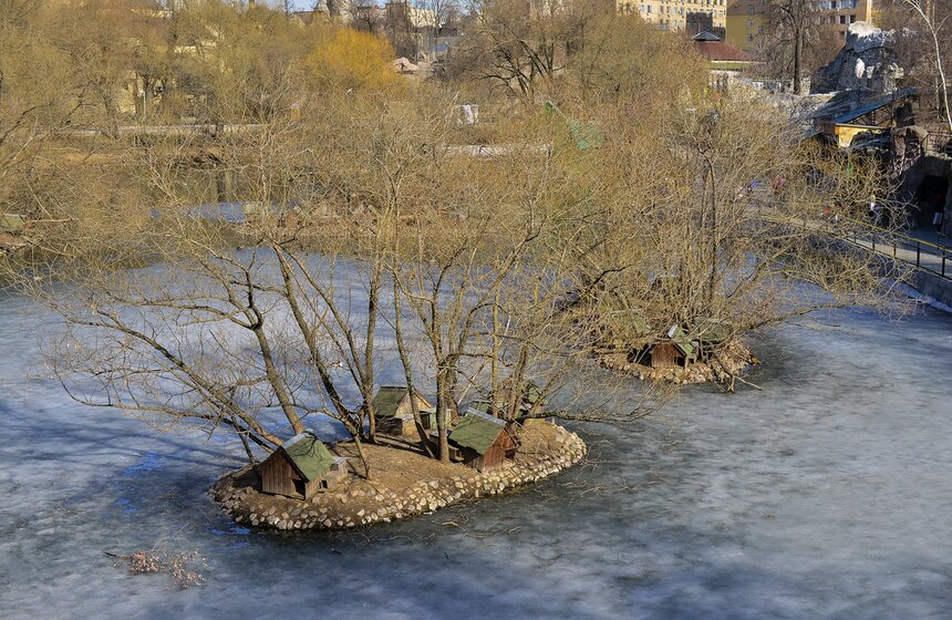 Пора вставать: питомцы Московского зоопарка вышли из спячки 24 фото