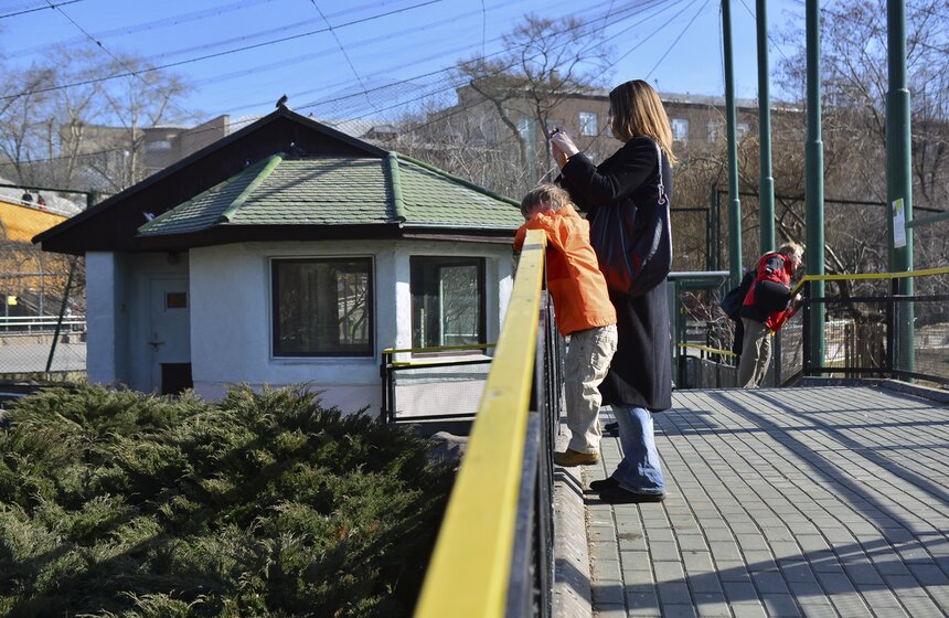 Пора вставать: питомцы Московского зоопарка вышли из спячки 22 фото