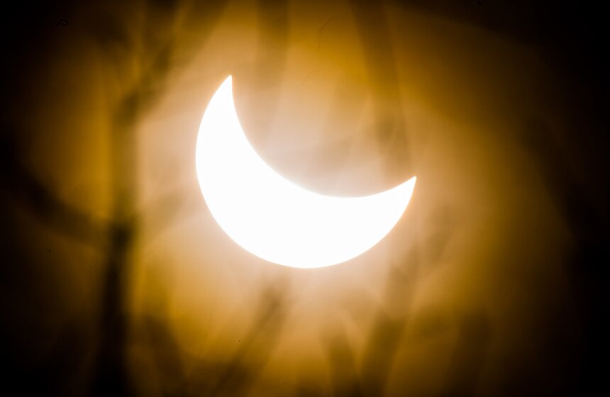 Фото: m24.ru/Лидия Широнина