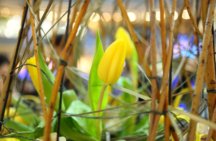 В Москве прошел благотворительный аукцион "Цветы. Добро. Ты" 7 фото