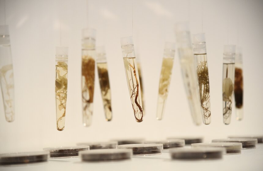 В столице открылась выставка "Человек разумный одинокий" 5 фото