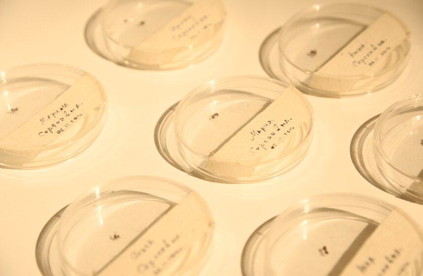 В столице открылась выставка "Человек разумный одинокий" 3 фото