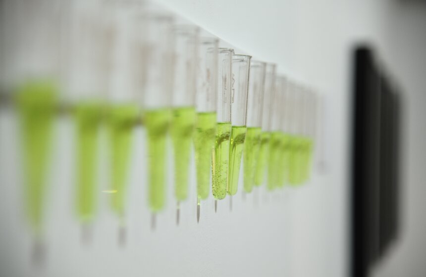 В столице открылась выставка "Человек разумный одинокий" 2 фото