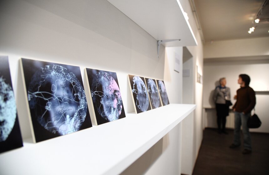 В столице открылась выставка "Человек разумный одинокий" 6 фото