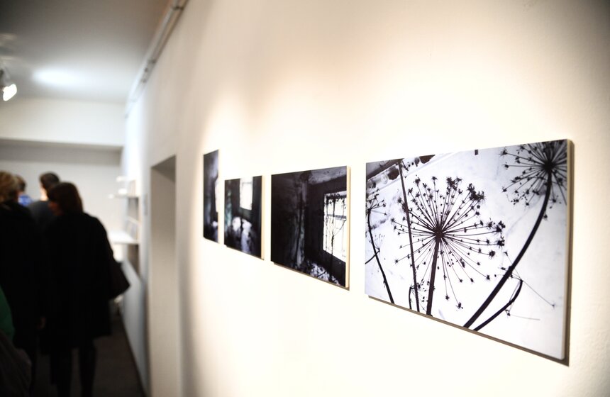 В столице открылась выставка "Человек разумный одинокий" 17 фото