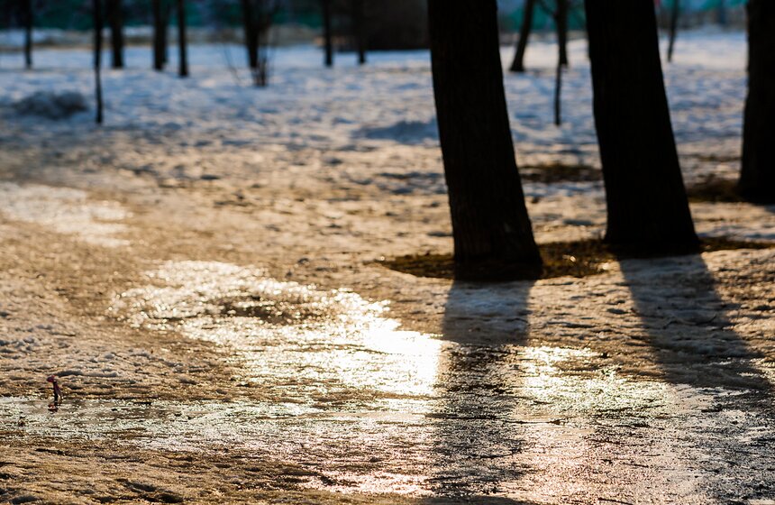 В столицу пришла весна 2 фото