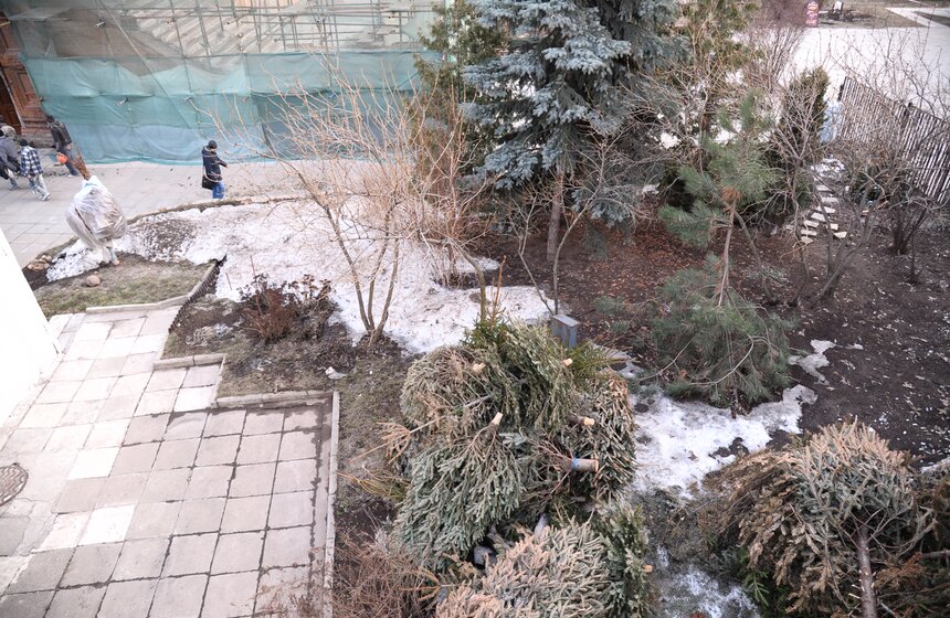 В столицу пришла весна 27 фото