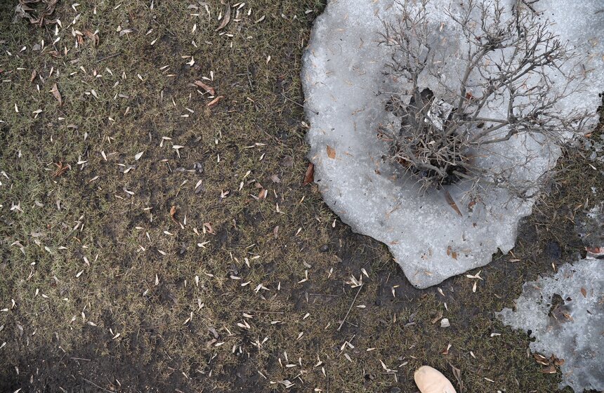 В столицу пришла весна 25 фото