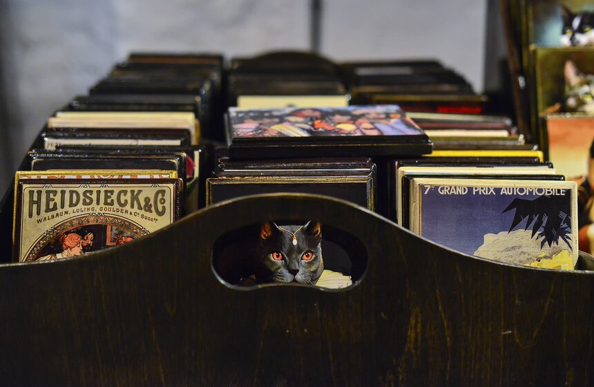 На "Красном октябре" открылся блошиный рынок 13 фото