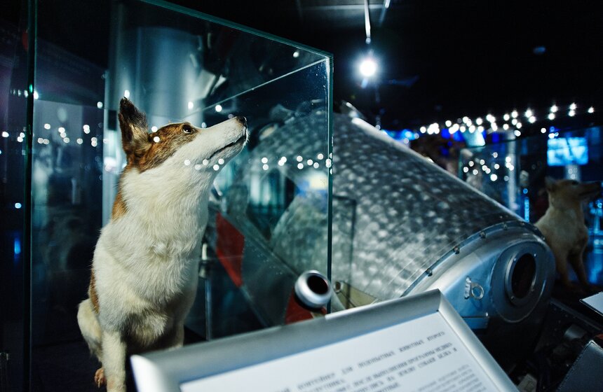 В Музее космонавтики прошли школьные занятия 3 фото