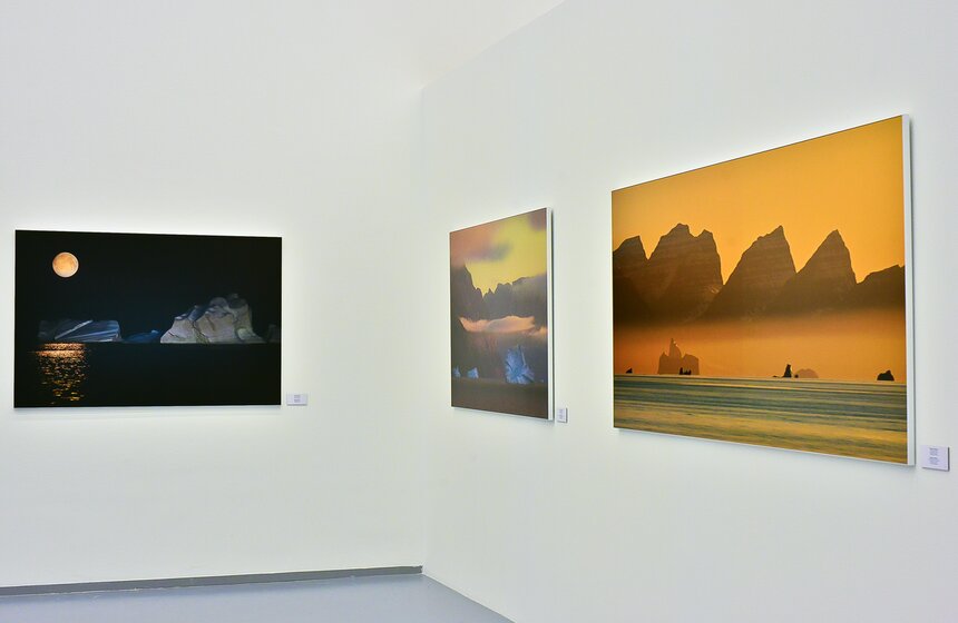 В мультимедиа Арт Музее открылась выставка "Арктика" 8 фото