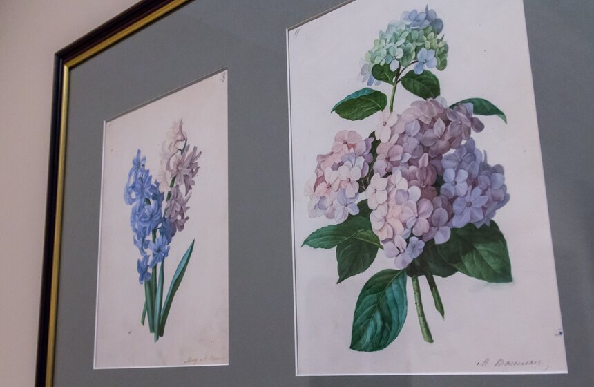 К юбилею Строгановки откроется выставка "Уроки рисования" 18 фото