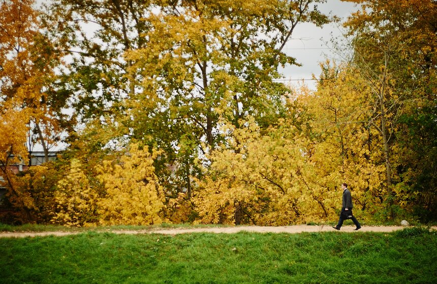 m24.ru/Александр Авилов