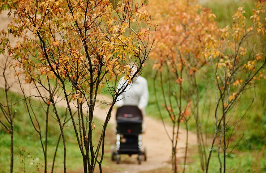 m24.ru/Александр Авилов