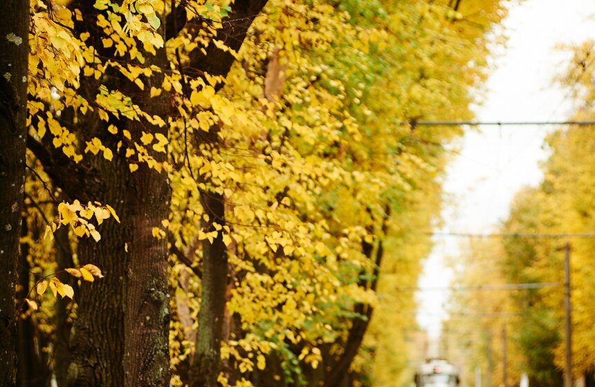 m24.ru/Александр Авилов