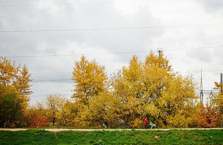 m24.ru/Александр Авилов