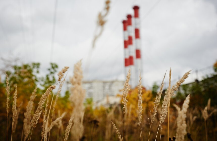 m24.ru/Александр Авилов