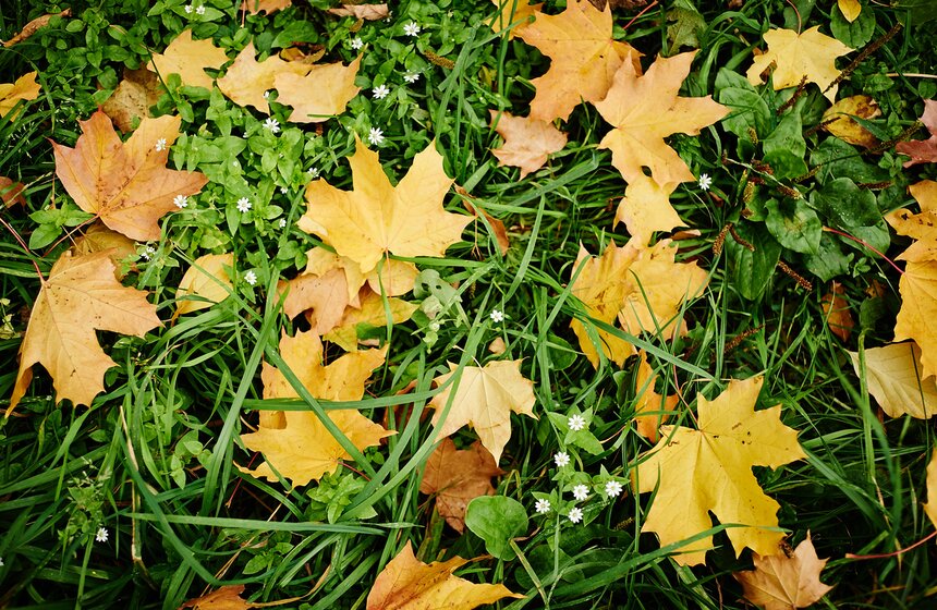 m24.ru/Александр Авилов