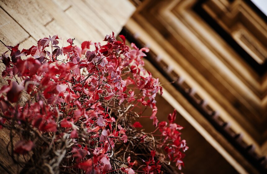 m24.ru/Александр Авилов