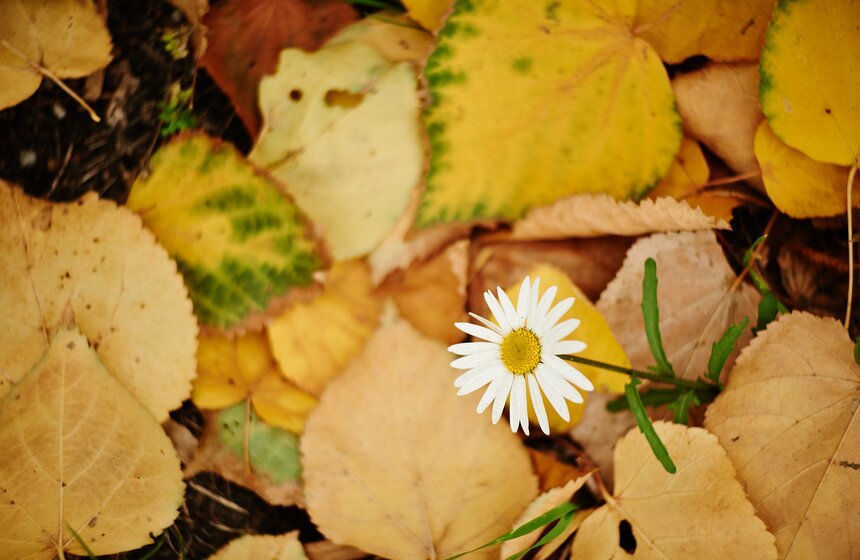 m24.ru/Александр Авилов